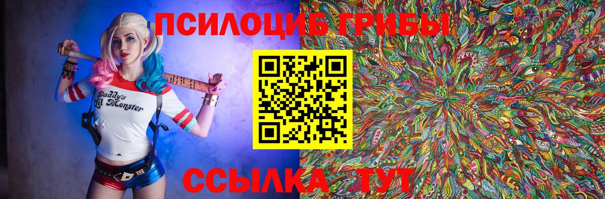 Галлюциногенные грибы Psilocybe  Вход с VPN  где купить наркоту  Ейск 